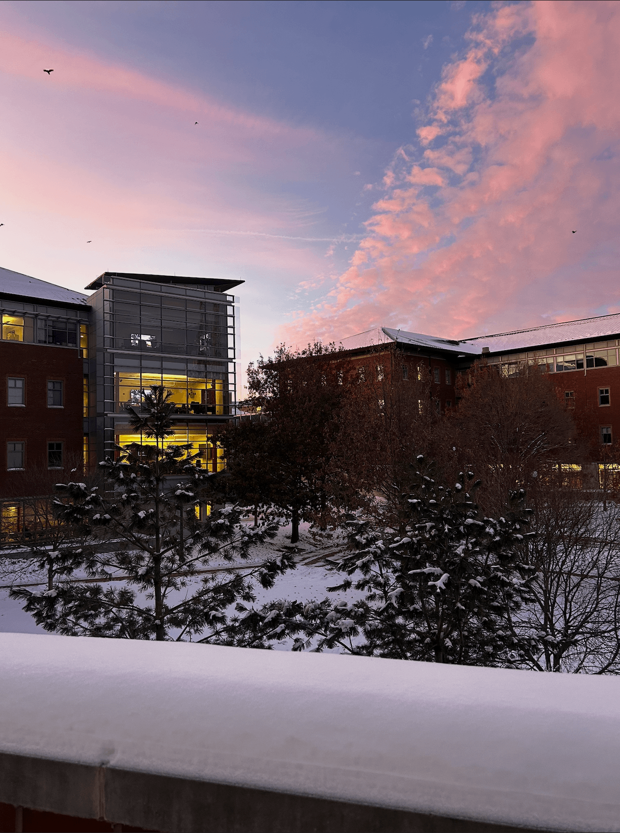 First Snow on Campus